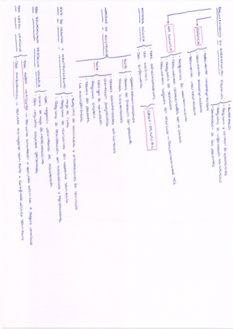 ESQUEMA-DOTACION.pdf