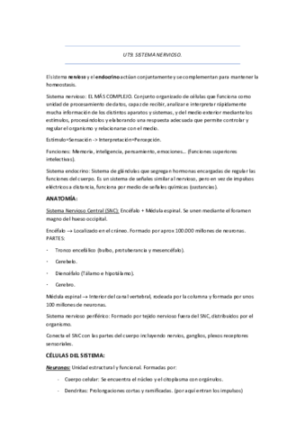 UT9-AAO-RESUMIDA.pdf