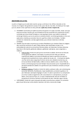 UT10-AAO-RESUMEN.pdf