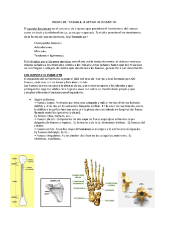 UT4-AAO-Resumida.pdf