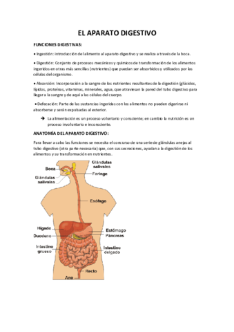 RESUMEN-UT6-AAO.pdf