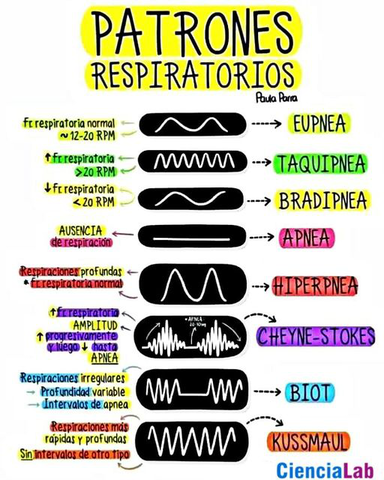 Patrones-respiratorios.jpg