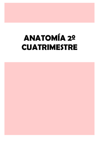 Anatomia-2o-cuatri.pdf