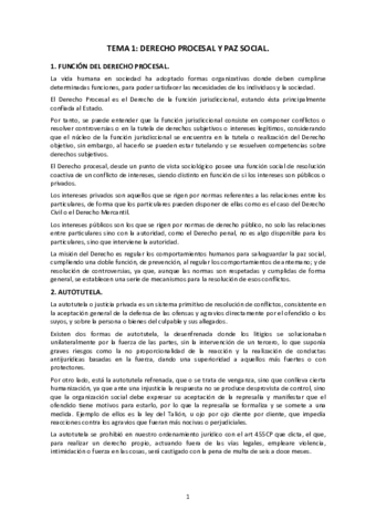 TEMAS-PROCESAL.pdf