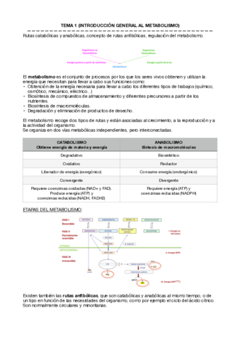Metabolica-Temas-1-8.pdf