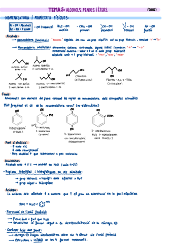 Teoria-t5.pdf