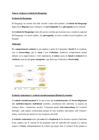 Tema 4: Origens i evolució llenguatge
