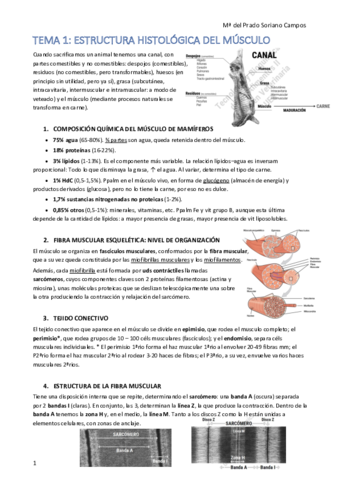 temas-1-a-18-2021.pdf