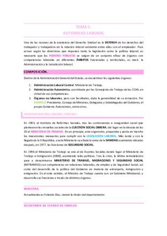 TEMA-5.pdf