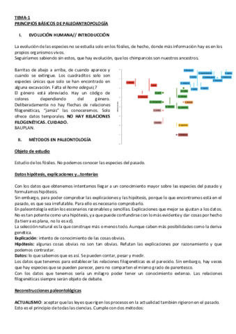 Antro-1er-parcial.pdf