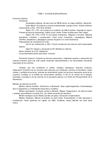 Apuntes-Atencion-NEAE.pdf