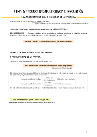 tema-6-economia.pdf