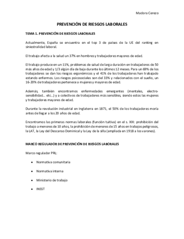 PREVENCION-DE-RIESGOS-LABORALES.pdf