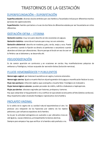 Miniatura del documento 40.pdf