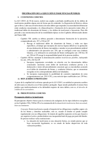 FRUSTRACION-DE-LA-EJECUCION-E-INSOLVENCIAS-PUNIBLES.pdf