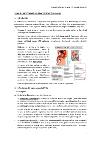 TEMA-2-INFECCIONES-DEL-TRACTO-GENITOURINARIO.pdf