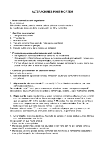 Miniatura del documento CM-Post-Mortem-APG.pdf