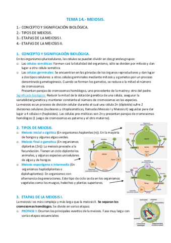 APUNTES-T.pdf