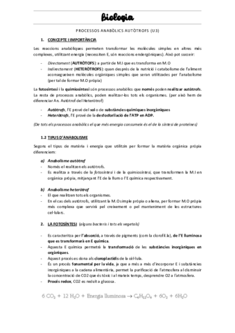 TEMA-3-1.pdf