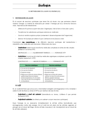 METABOLISME-CEL.pdf