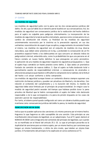 TEMARIO-EXAMEN-DCHO-PENAL.pdf