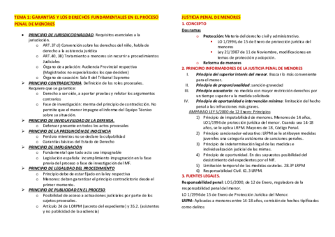 ESQUEMAS-EXAMEN-1-7.pdf