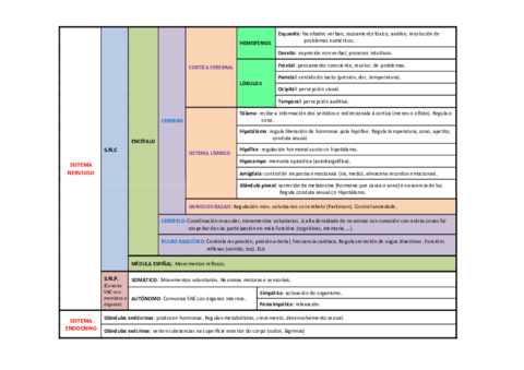 Esquema-SN.pdf