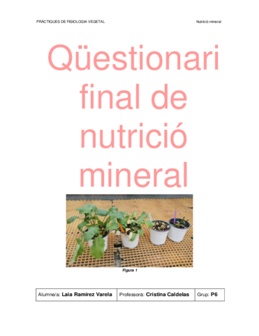 Informe-Laia-nutricio.pdf