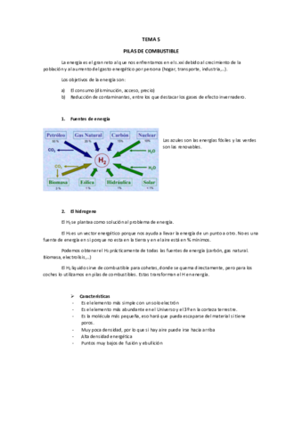 TEMA-5-PILAS-DE-COMBUSTIBLE.pdf