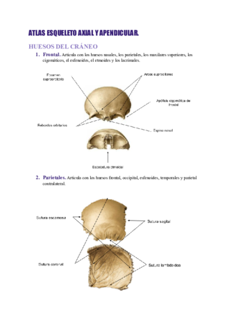 T2.pdf