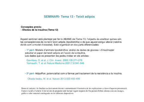 Seminari-13-LAIA.pdf