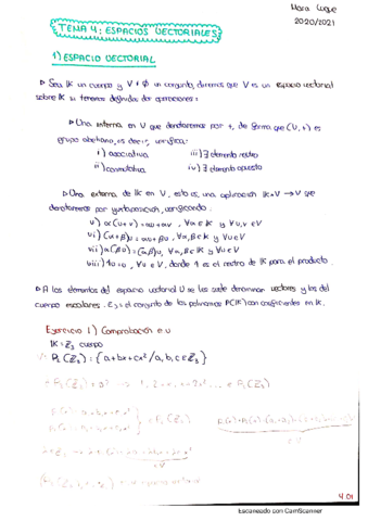 Resumen-completo-algebra-tema-4.pdf