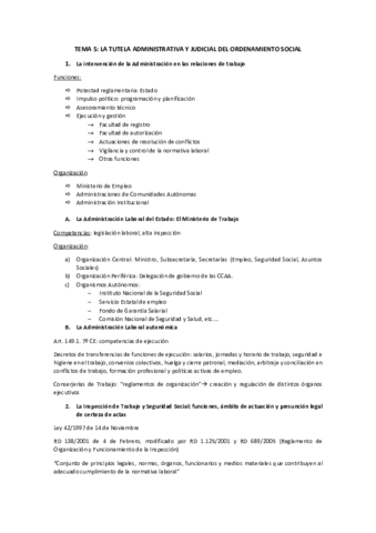 TEMA-5.pdf