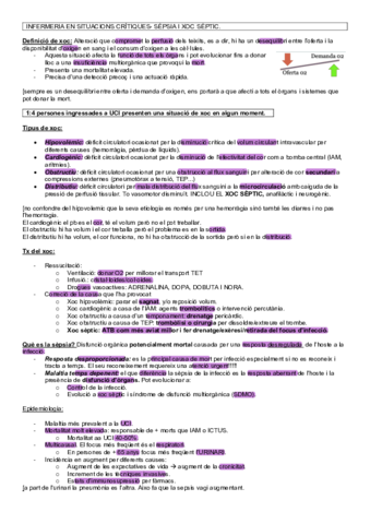 APUNTES-CRITICOS-HASTA-5-MAYO-.pdf