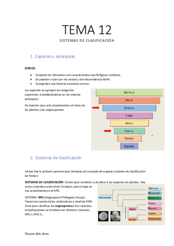Apuntes-TEMA-12.pdf