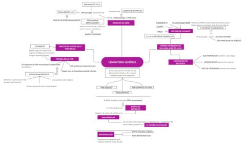 ESQUEMA-APARTAT-6-LAURA-GARCIA.png