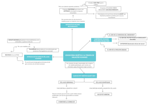 ESQUEMA-APARTAT-7-LAURA-GARCIA.png