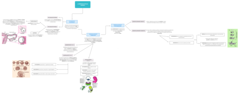 ESQUEMA-U14-PUNT-4-LAURA-GARCIA.png