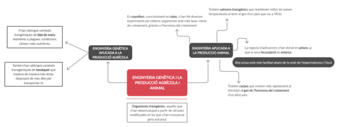 ESQUEMA-APARTAT-8-LAURA-GARCIA.png