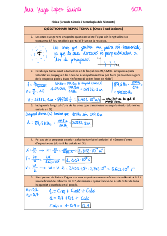 Questionaritema6.pdf