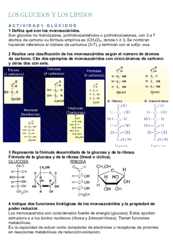 Actividades-selectividad-glucidos-y-lipidos.pdf