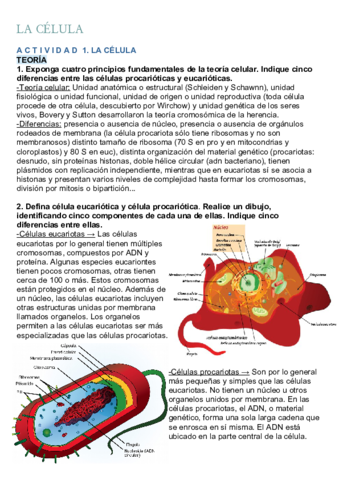 Actividades-selectividad-celula.pdf