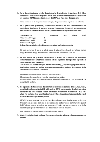 Posibles-preguntas-examen-practicas-RESUELTAS.pdf