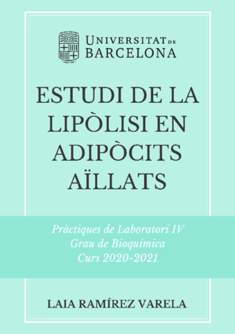 INFORME-LIPOLISI-LAIA.pdf