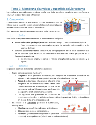 Tema-1-Membrana-plasmatica.pdf