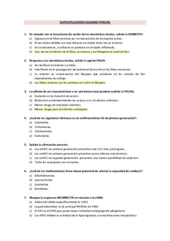 Autoevaluacion-segundo-parcial.pdf