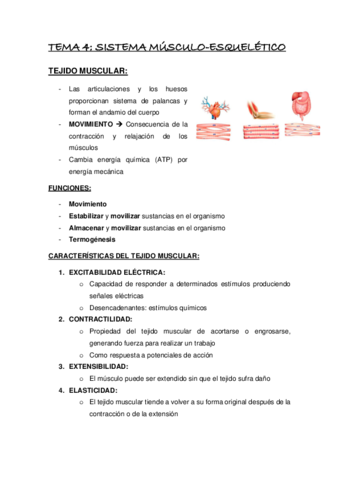 TEMA-4.pdf