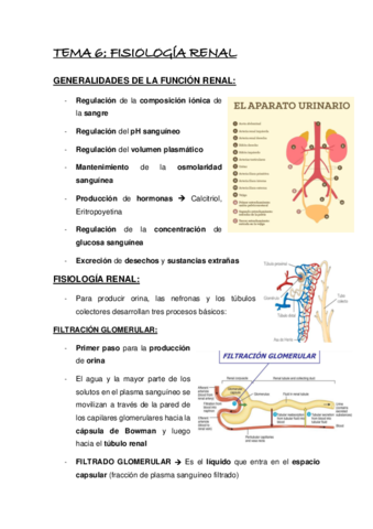 TEMA-6.pdf