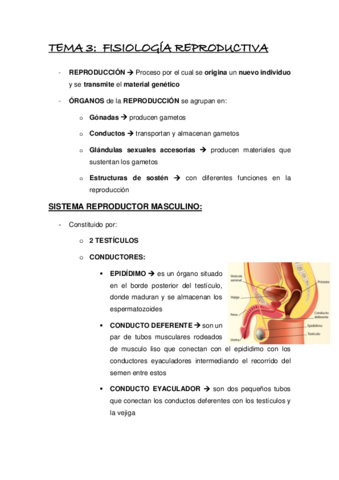 Tema-3-fisiologia-reproductivaa.pdf