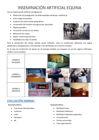 Miniatura del documento 31.pdf